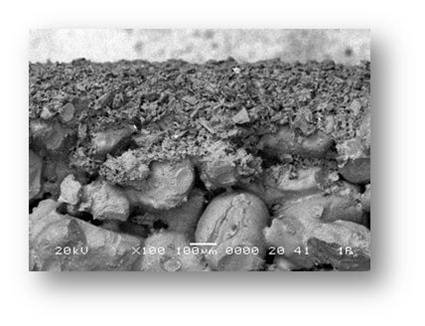 razrab04.jpg (425x326) razrab04.jpg (425x326)